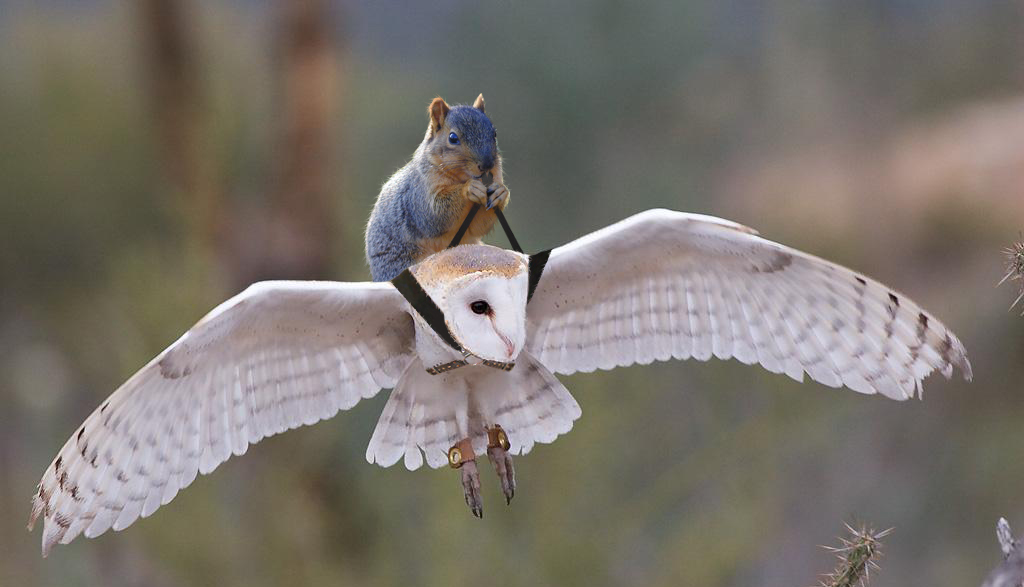 Diseño de Photoshop por Crumbles para DesignCrowd (Community Contests) | Diseño #9025899