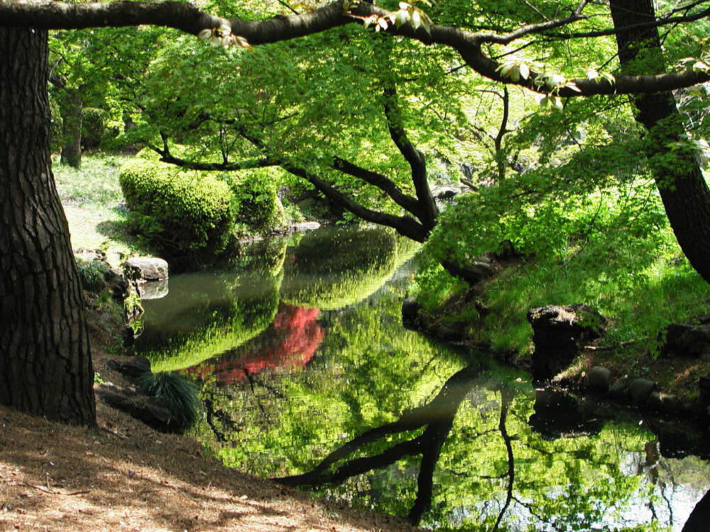 Photography by NatashaP for DesignCrowd (Community Contests) | Design #9030016