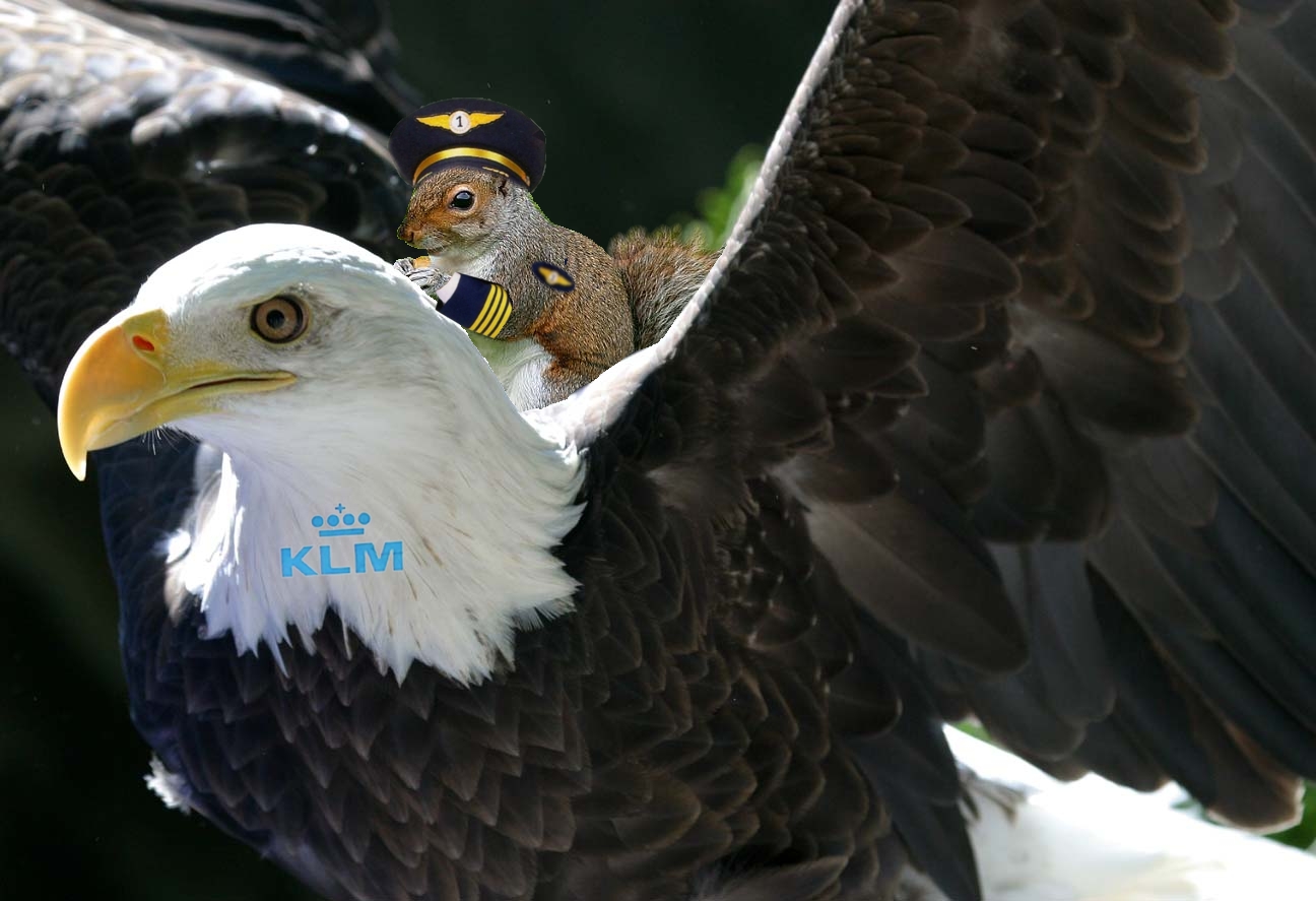 Photoshop Design by vytcheslav for DesignCrowd (Community Contests) | Design #9025760