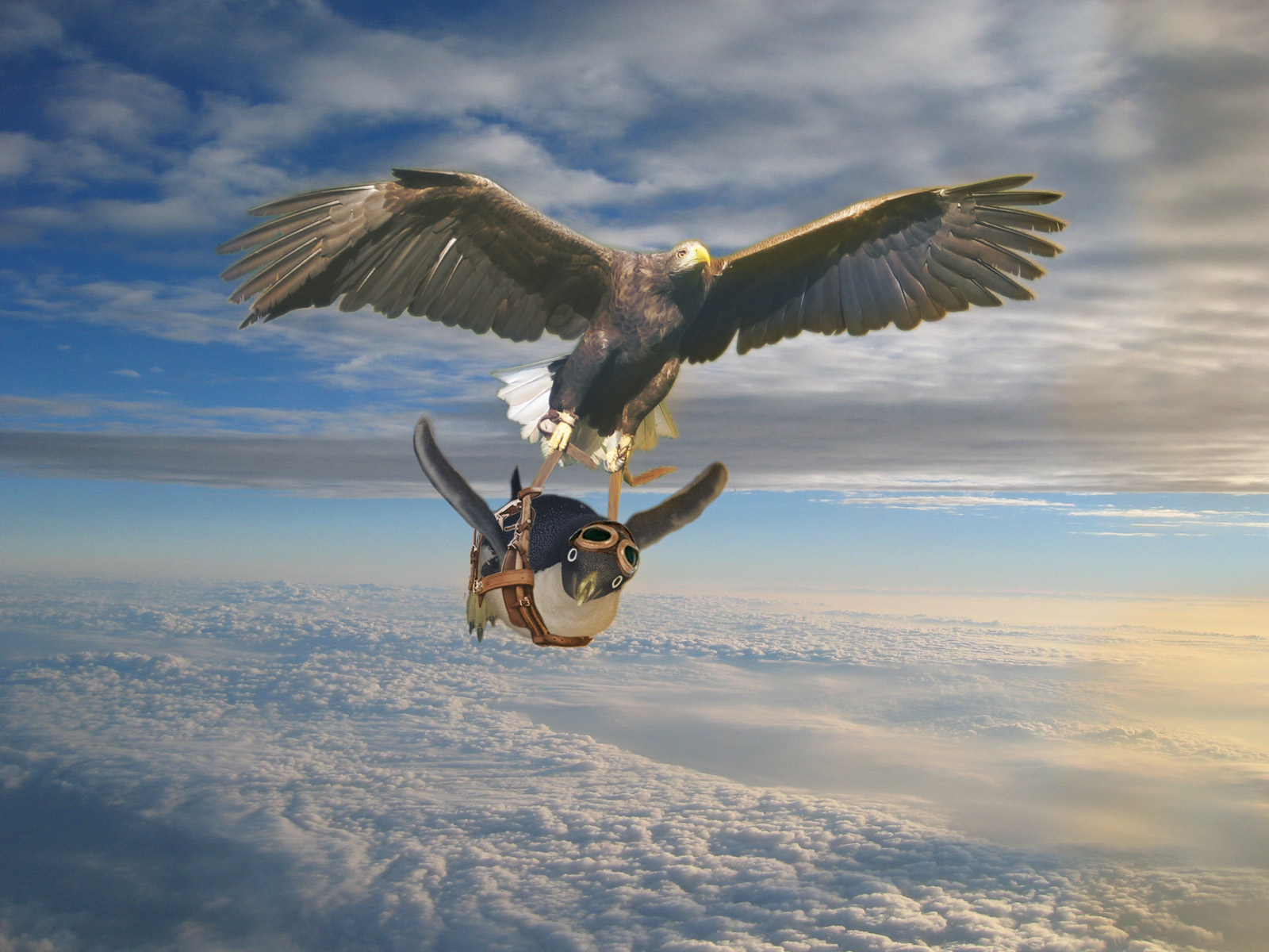 Photoshop Design by Drew576 for DesignCrowd (Community Contests) | Design #9025931