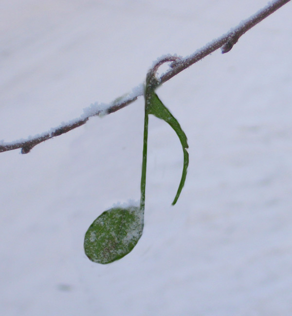 Photoshop Design by matster for DesignCrowd (Community Contests) | Design #9029611