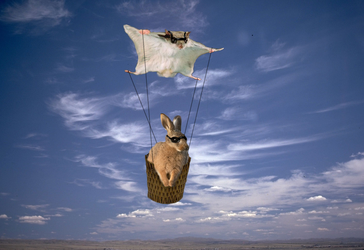 Photoshop Design by brandonchandler for DesignCrowd (Community Contests) | Design #9026016