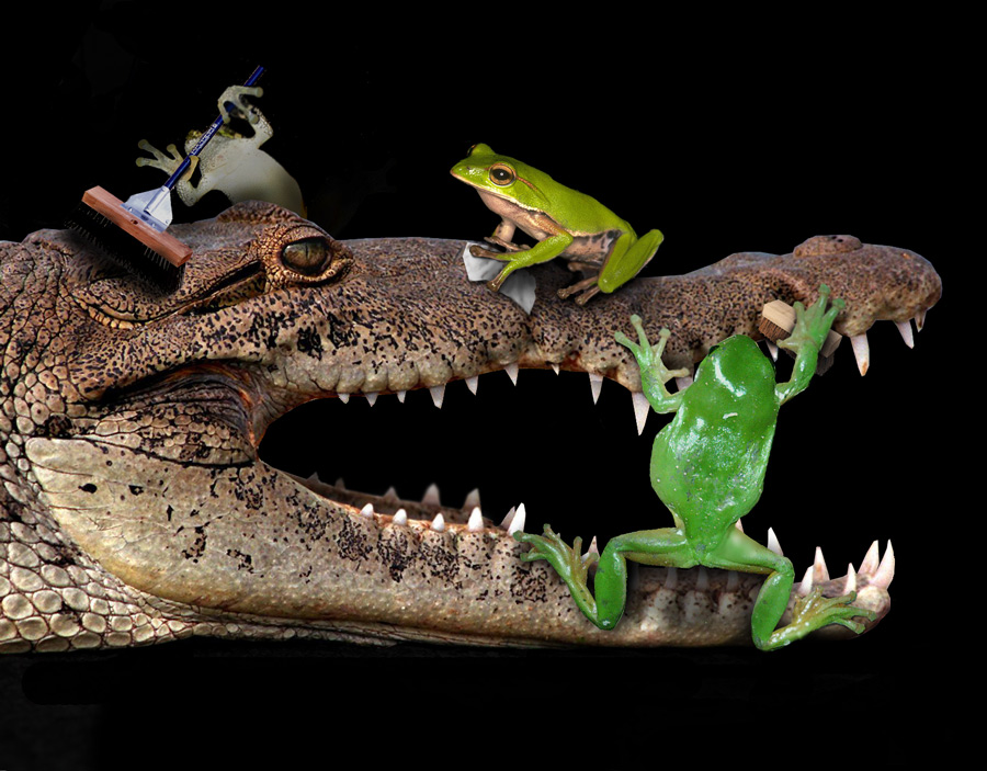 Photoshop Design by Fathom for DesignCrowd (Community Contests) | Design #9025978