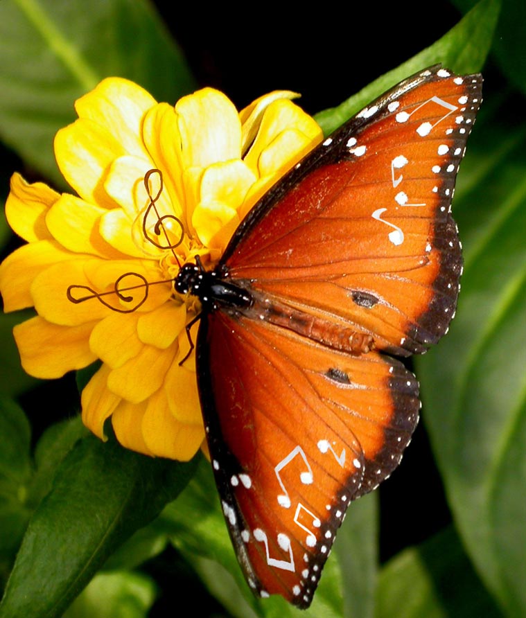 Diseño de Photoshop por ojoblo para DesignCrowd (Community Contests) | Diseño #9029701