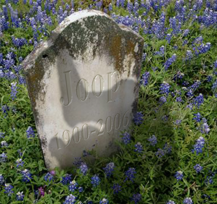 Photoshop Design by RachelB for DesignCrowd (Community Contests) | Design #9024825