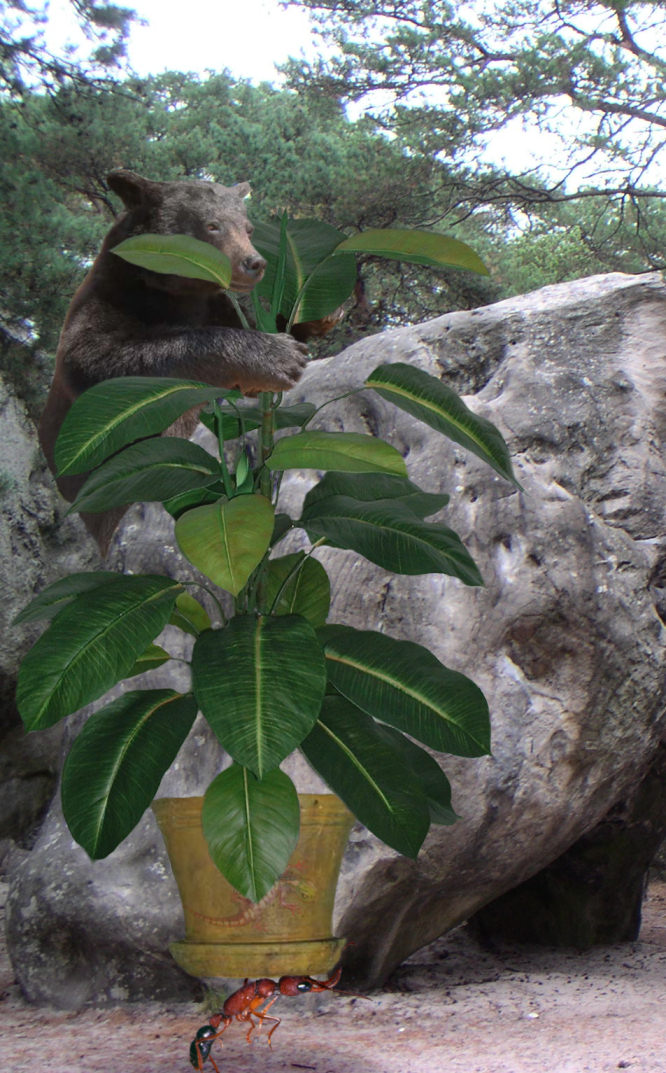 Photoshop-Design von Hobbit90 für DesignCrowd (Community Contests) | Design #9025958