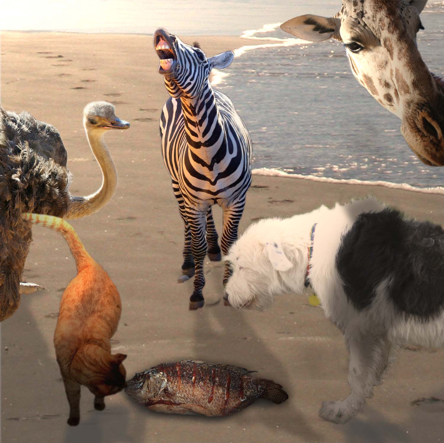 Photoshop Design by phreakgirl for DesignCrowd (Community Contests) | Design #9026142