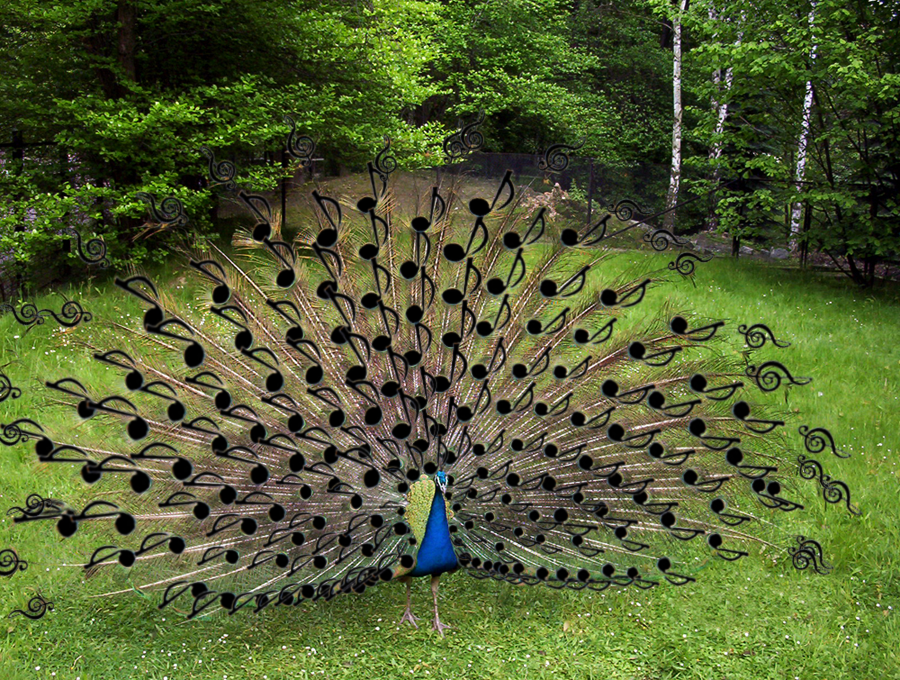 Photoshop Design by chainman for DesignCrowd (Community Contests) | Design #9029712