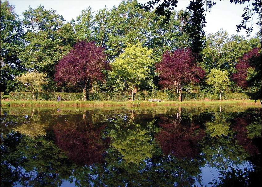 Photography by HIRISH for DesignCrowd (Community Contests) | Design #9030025