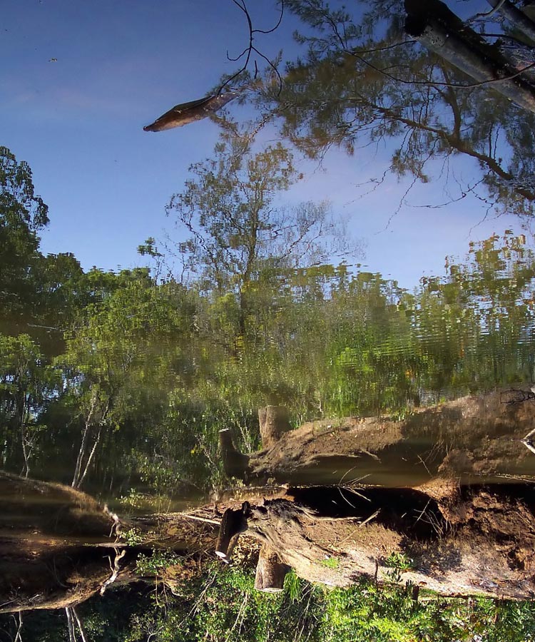 Photography by ozplasmic for DesignCrowd (Community Contests) | Design #9030066