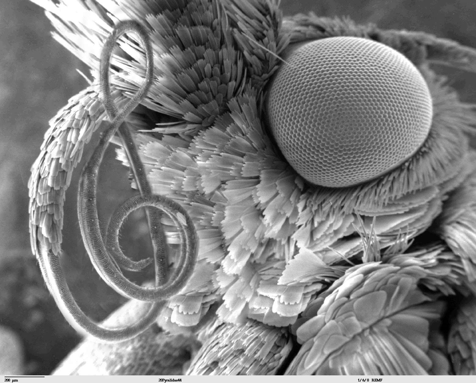 Design Photoshop par litfish pour DesignCrowd (Community Contests) | Design #9029741