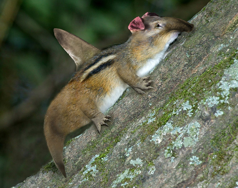 Diseño de Photoshop por carmelhadinosaur para DesignCrowd (Community Contests) | Diseño #9027528