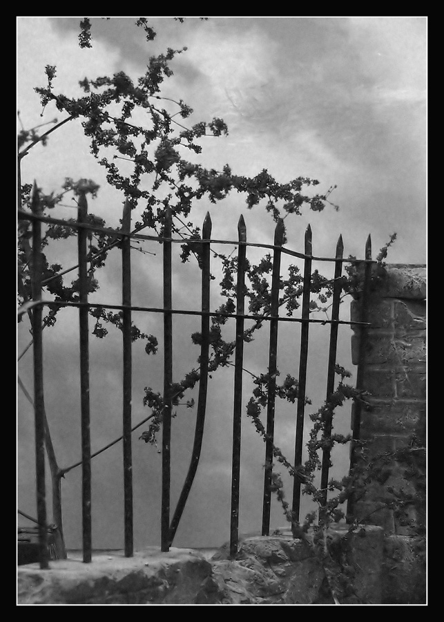 Fotografía por Limitchik para DesignCrowd (Community Contests) | Diseño #9029003