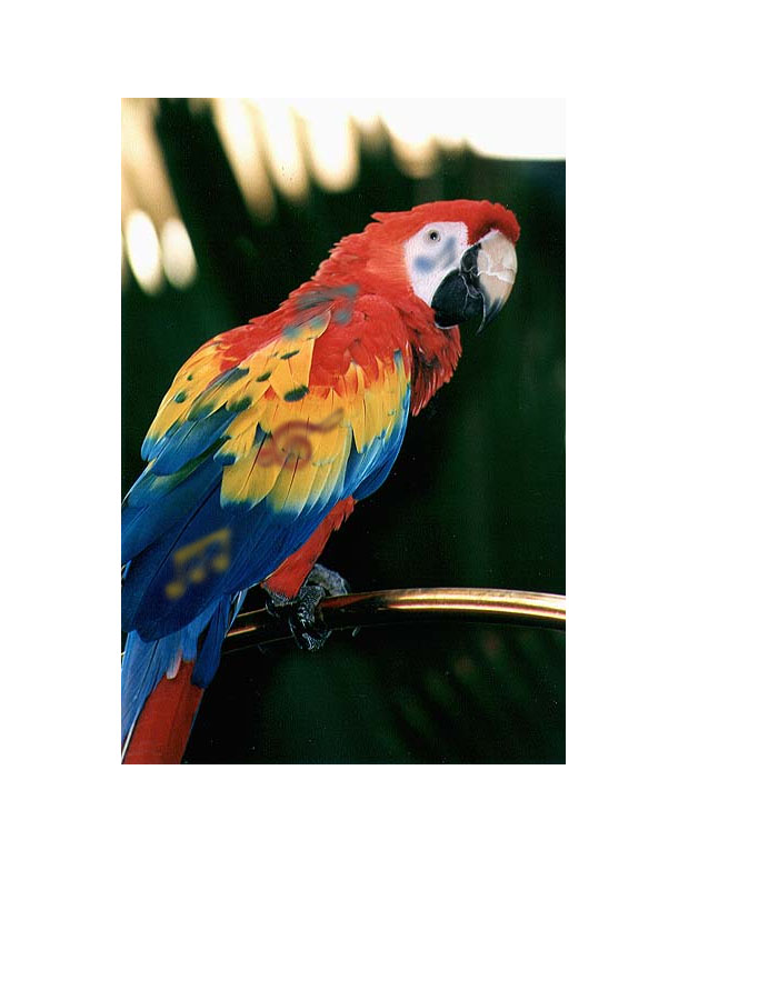 Photoshop Design by Valerie91 for DesignCrowd (Community Contests) | Design #9029756