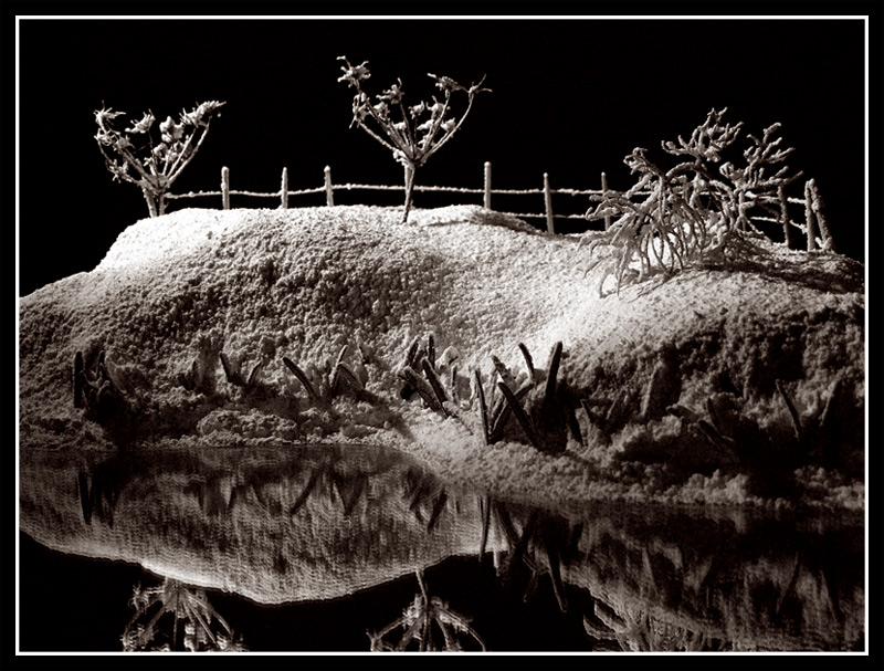 Fotografie von cycoze für DesignCrowd (Community Contests) | Design #9028962