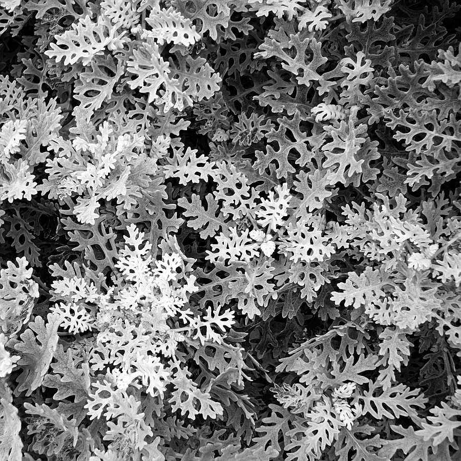 Fotografie von impression für DesignCrowd (Community Contests) | Design #9030391
