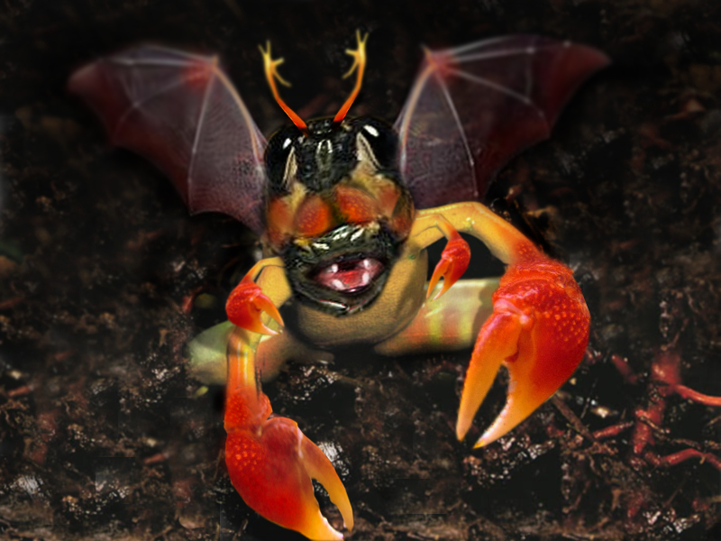 Diseño de Photoshop por rockpainterx para DesignCrowd (Community Contests) | Diseño #9027562