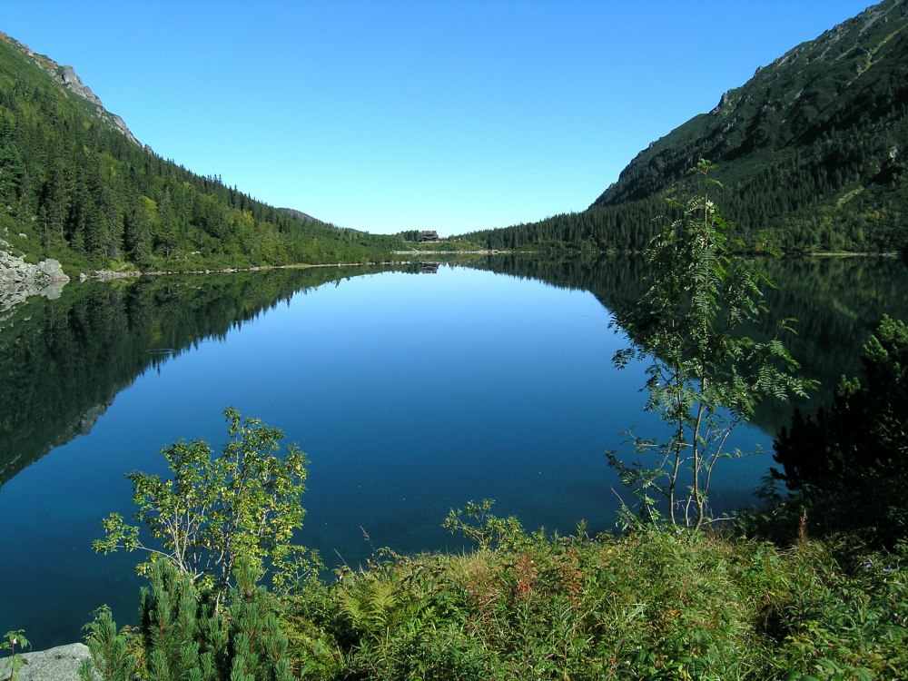 Photography by AnnaDK for DesignCrowd (Community Contests) | Design #9030046