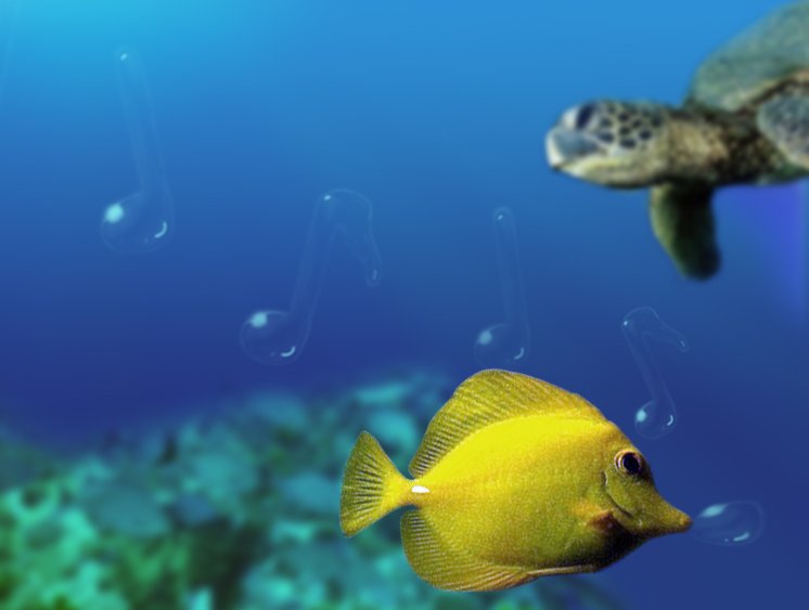 Photoshop Design by Bahamo for DesignCrowd (Community Contests) | Design #9029732