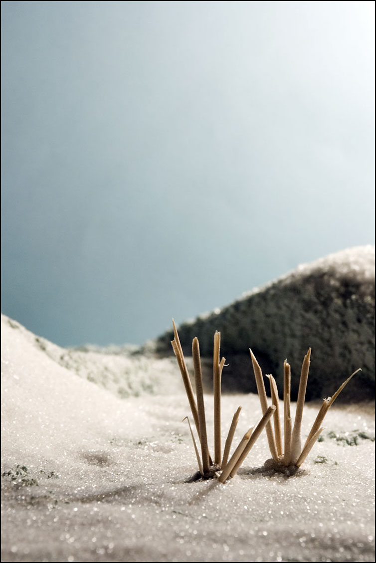 Photography by Craigr1978 for DesignCrowd (Community Contests) | Design #9029154