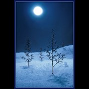 Photography by Fishcat