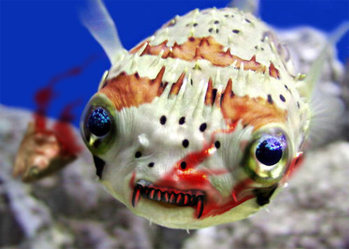 Diseño de Photoshop por mysterio para DesignCrowd (Community Contests) | Diseño #9027555