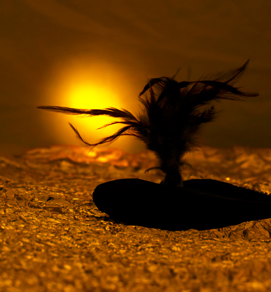 Photographie par burns529 pour DesignCrowd (Community Contests) | Design #9029172