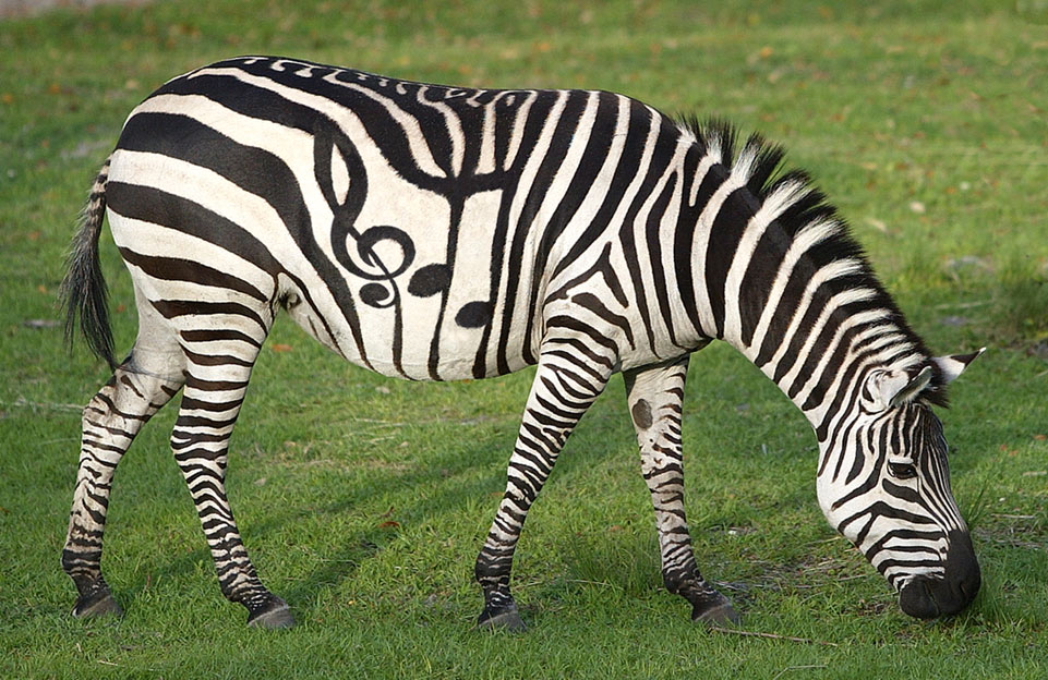 Diseño de Photoshop por jofletcher para DesignCrowd (Community Contests) | Diseño #9029817