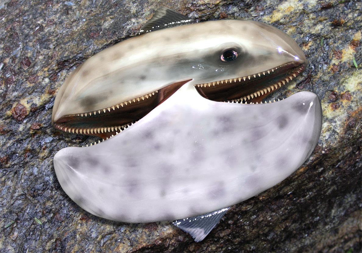 Photoshop-Design von mark24 für DesignCrowd (Community Contests) | Design #9027585