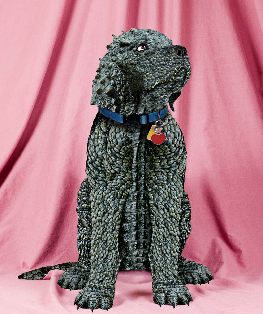 Diseño de Photoshop por Karrie para DesignCrowd (Community Contests) | Diseño #9027643