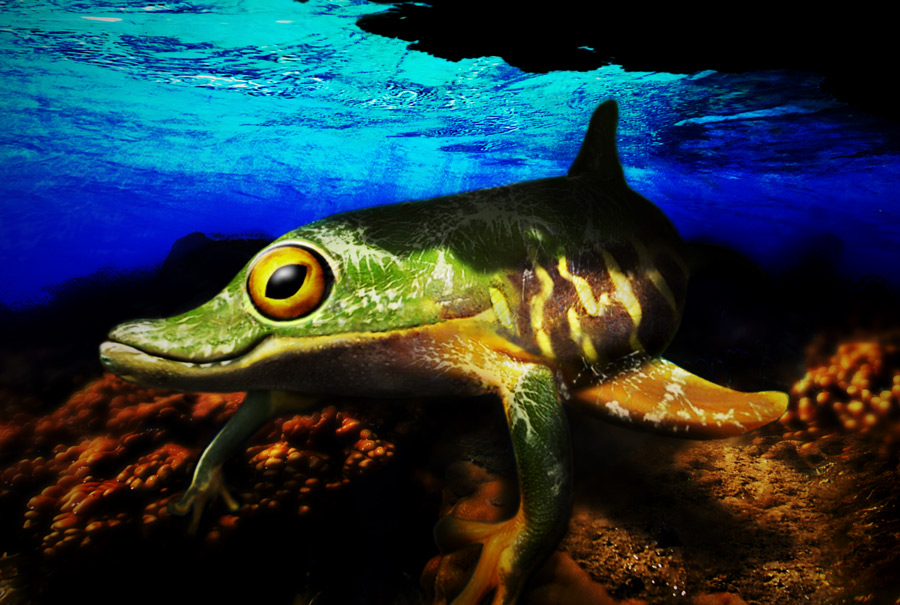 Photoshop Design by tobster001 for DesignCrowd (Community Contests) | Design #9027634