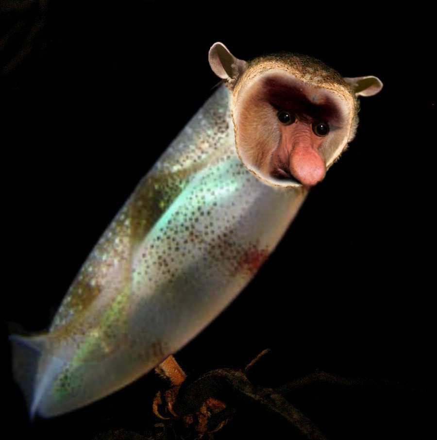 Diseño de Photoshop por Fishwife para DesignCrowd (Community Contests) | Diseño #9027629