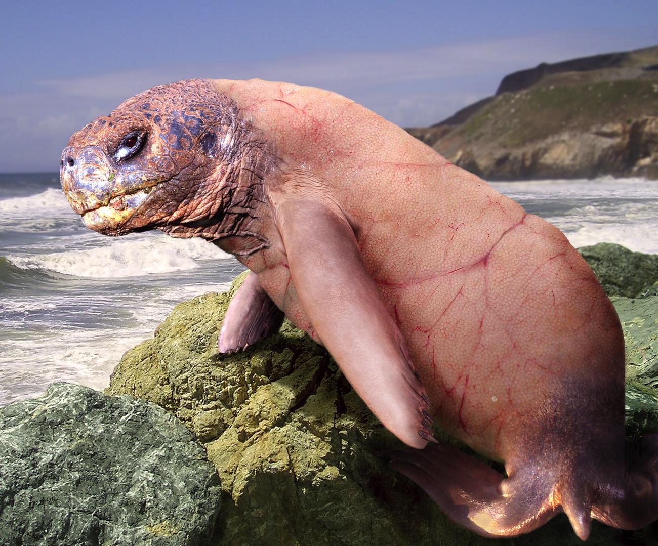 Photoshop Design by sugarcane for DesignCrowd (Community Contests) | Design #9027613