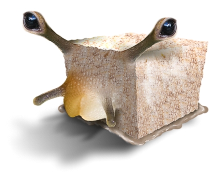 Photoshop Design by Mishikal for DesignCrowd (Community Contests) | Design #9027656