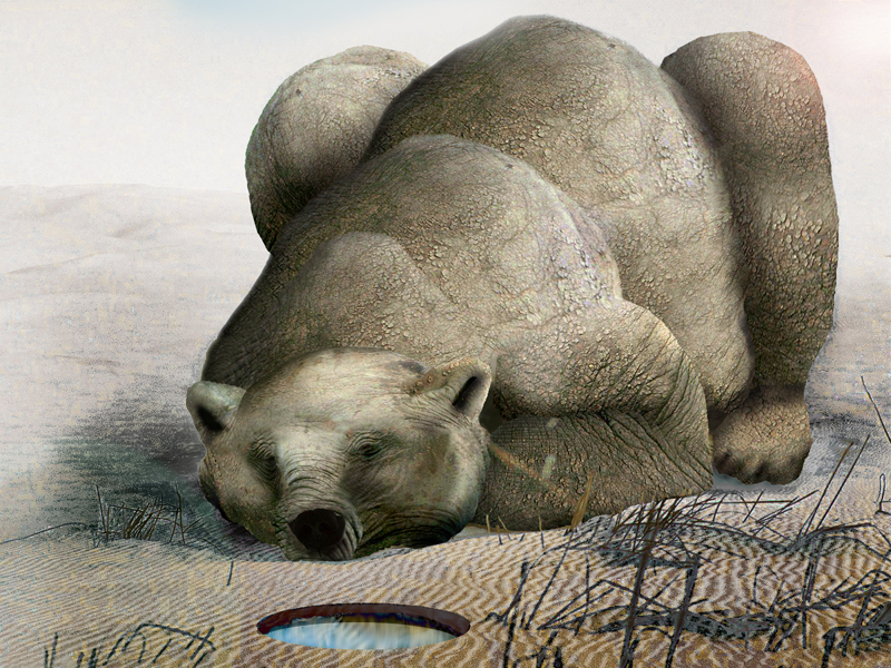 Design Photoshop par furfree pour DesignCrowd (Community Contests) | Design #9027793