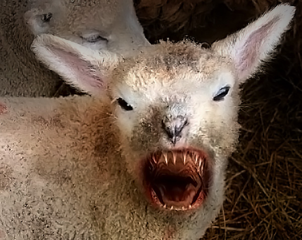 Photoshop Design by batthemadbat for DesignCrowd (Community Contests) | Design #9027759