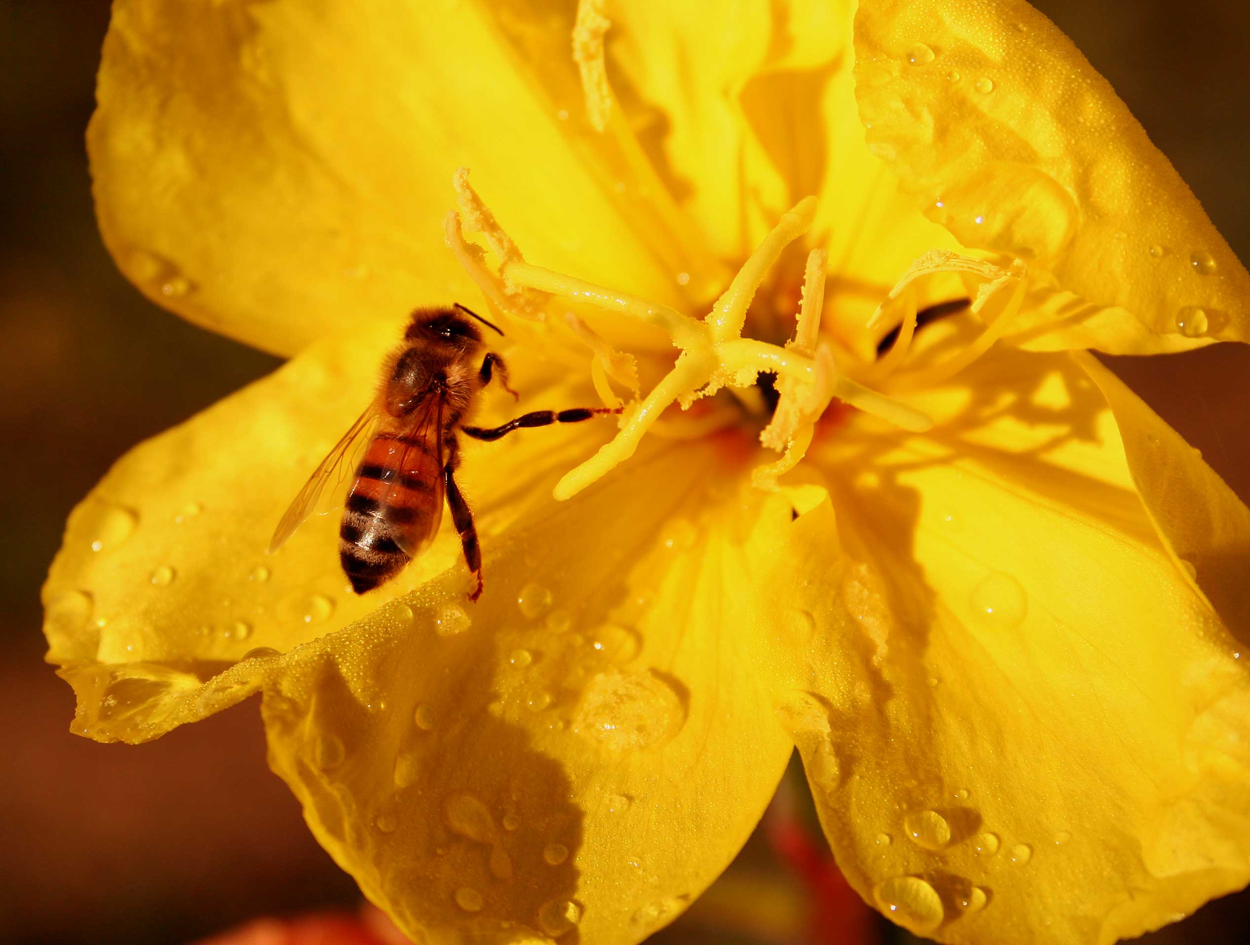 Photography by Fathom for DesignCrowd (Community Contests) | Design #9029867