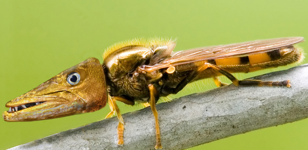 Diseño de Photoshop por TheAmberRoom para DesignCrowd (Community Contests) | Diseño #9027726