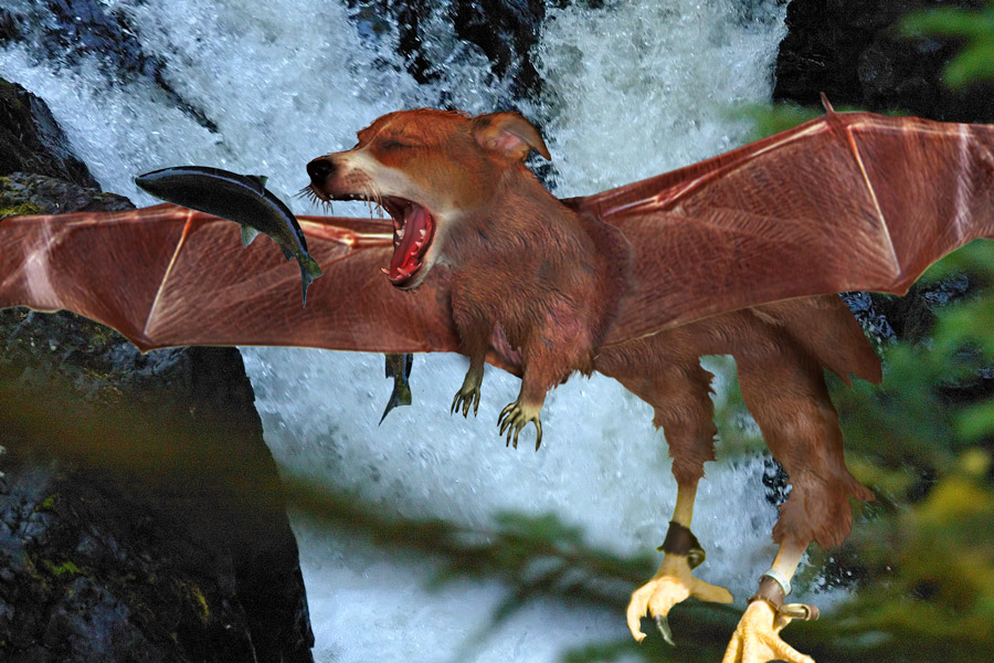 Design Photoshop par Penywise pour DesignCrowd (Community Contests) | Design #9027707