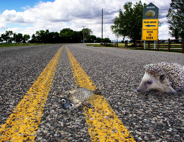 Design Photoshop par CRAZYLEGGSROGERS pour DesignCrowd (Community Contests) | Design #9031525