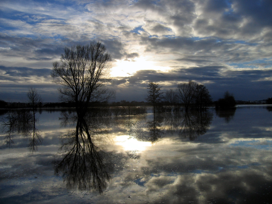 Photographie par elchkuh pour DesignCrowd (Community Contests) | Design #9030274