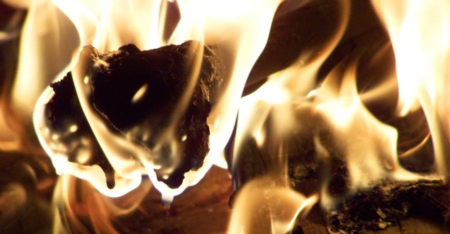 Photography by Israfelx for DesignCrowd (Community Contests) | Design #9029103