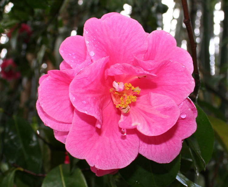 Photographie par drdonallen pour DesignCrowd (Community Contests) | Design #9029897