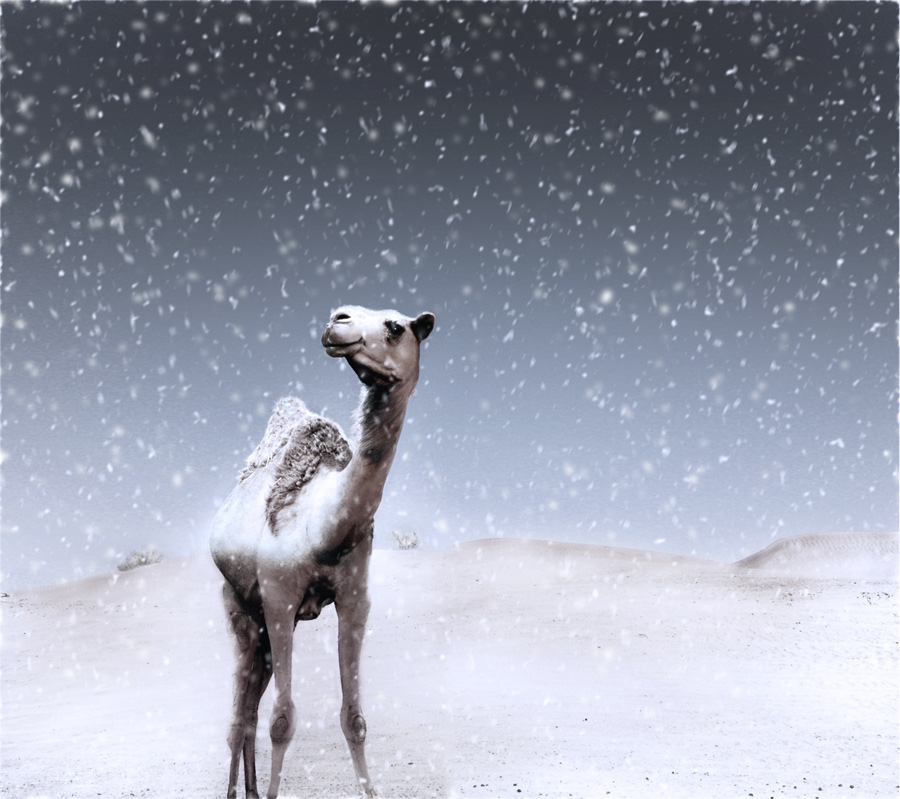 Photoshop-Design von HappyFace für DesignCrowd (Community Contests) | Design #9036326