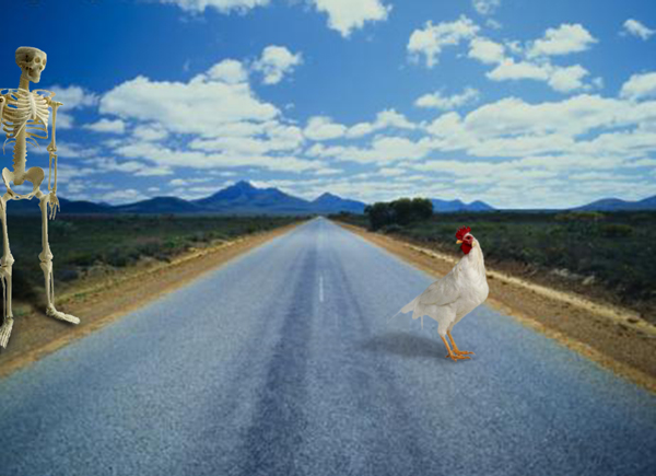 Photoshop Design by RachelB for DesignCrowd (Community Contests) | Design #9031612