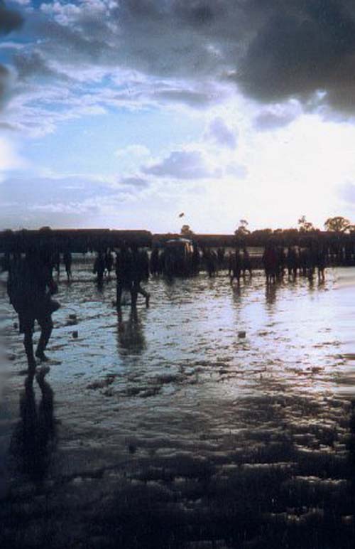 Photography by palegothicangel for DesignCrowd (Community Contests) | Design #9029887