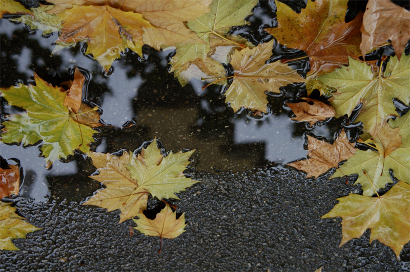 Photography by chatwin68 for DesignCrowd (Community Contests) | Design #9030372