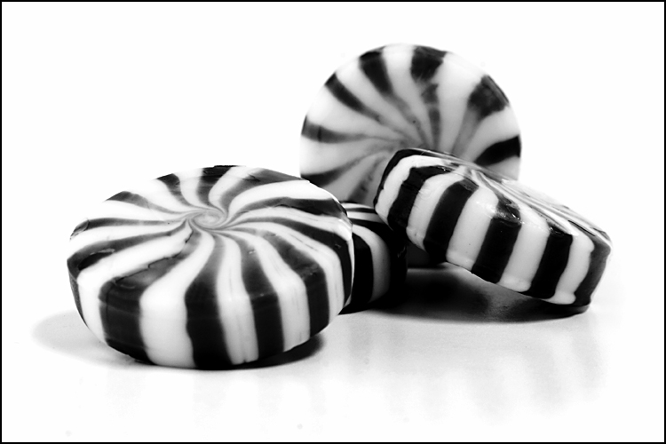 Photography by lilhorseebabee for DesignCrowd (Community Contests) | Design #9032606