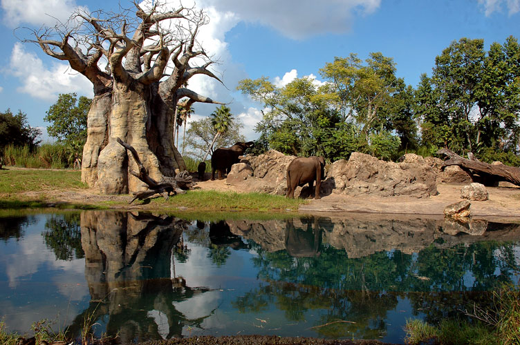 Photography by Jawizza for DesignCrowd (Community Contests) | Design #9030143