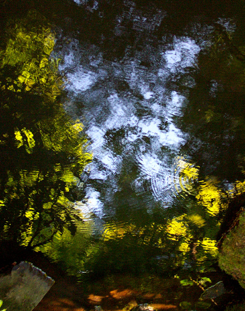 Photography by phreakgirl for DesignCrowd (Community Contests) | Design #9030360